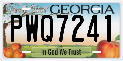 GA license plate PWQ7241