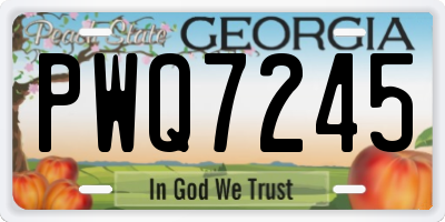 GA license plate PWQ7245