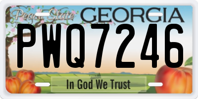 GA license plate PWQ7246