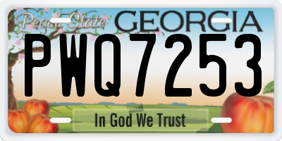 GA license plate PWQ7253