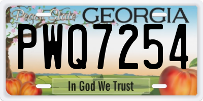 GA license plate PWQ7254