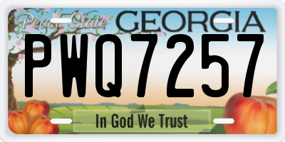 GA license plate PWQ7257