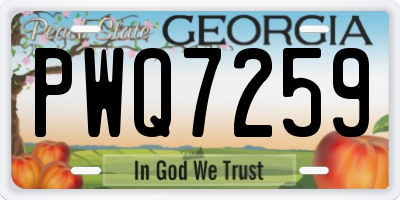 GA license plate PWQ7259