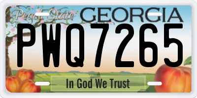 GA license plate PWQ7265