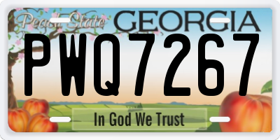 GA license plate PWQ7267