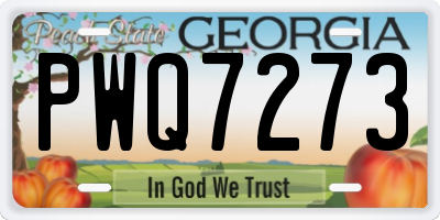 GA license plate PWQ7273