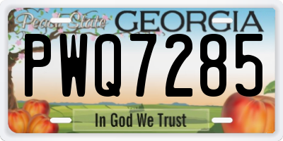 GA license plate PWQ7285