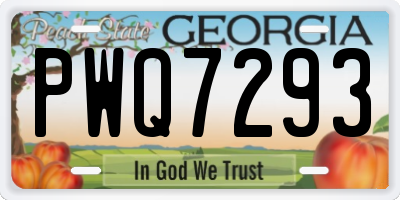 GA license plate PWQ7293