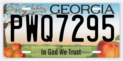 GA license plate PWQ7295