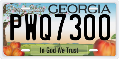 GA license plate PWQ7300