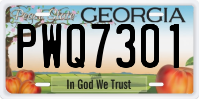 GA license plate PWQ7301