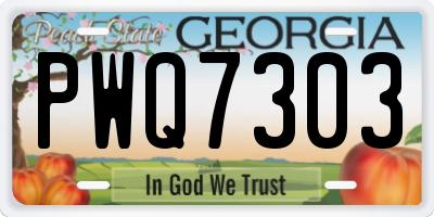 GA license plate PWQ7303