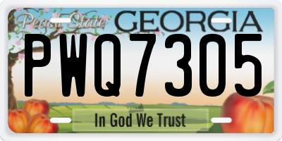 GA license plate PWQ7305