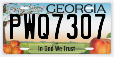 GA license plate PWQ7307