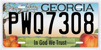 GA license plate PWQ7308