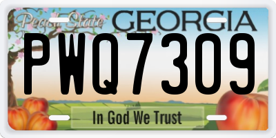 GA license plate PWQ7309