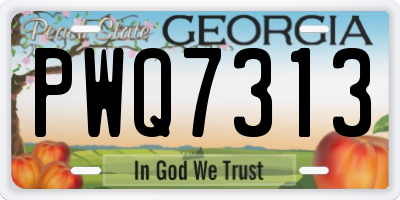 GA license plate PWQ7313