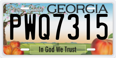 GA license plate PWQ7315