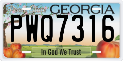 GA license plate PWQ7316