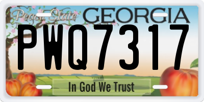 GA license plate PWQ7317