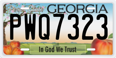 GA license plate PWQ7323