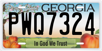GA license plate PWQ7324