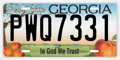 GA license plate PWQ7331