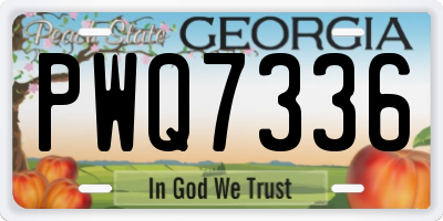 GA license plate PWQ7336