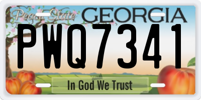 GA license plate PWQ7341