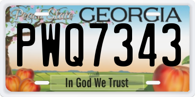 GA license plate PWQ7343
