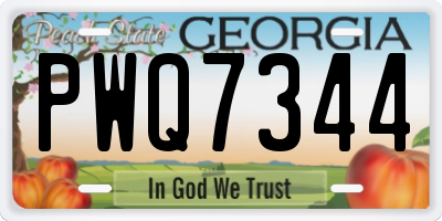 GA license plate PWQ7344