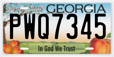 GA license plate PWQ7345