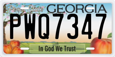 GA license plate PWQ7347