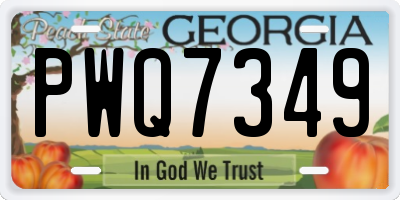 GA license plate PWQ7349