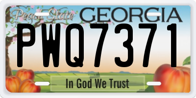 GA license plate PWQ7371