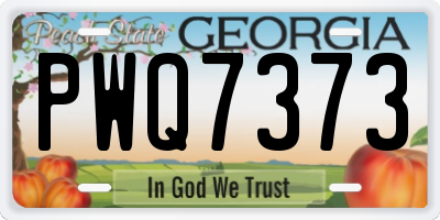 GA license plate PWQ7373