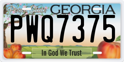 GA license plate PWQ7375
