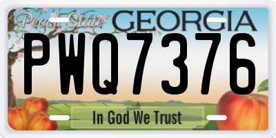 GA license plate PWQ7376