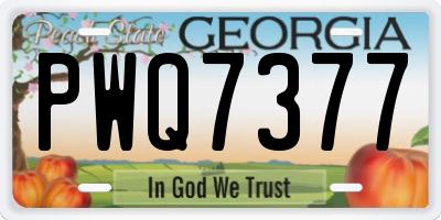 GA license plate PWQ7377