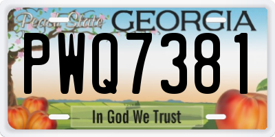 GA license plate PWQ7381