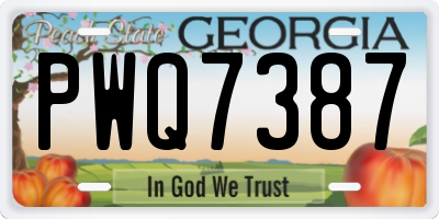 GA license plate PWQ7387
