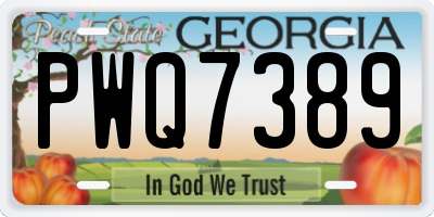 GA license plate PWQ7389