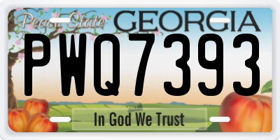 GA license plate PWQ7393