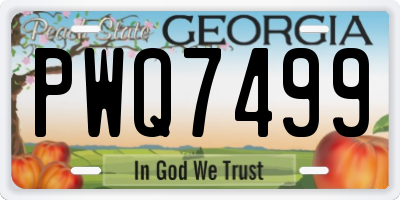GA license plate PWQ7499