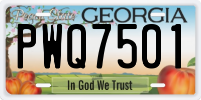 GA license plate PWQ7501