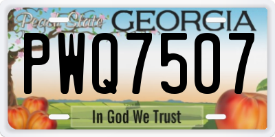 GA license plate PWQ7507
