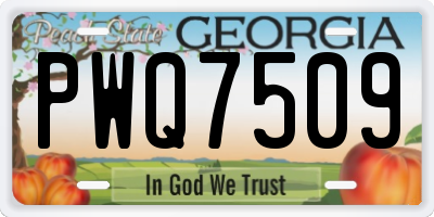 GA license plate PWQ7509