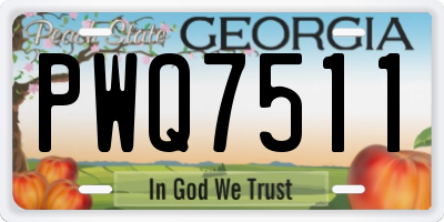 GA license plate PWQ7511