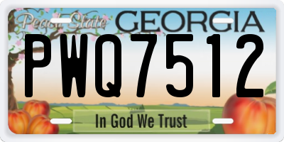 GA license plate PWQ7512