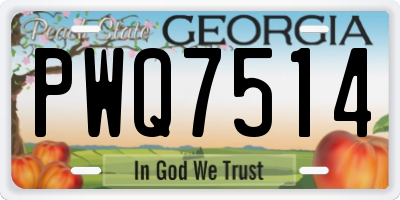 GA license plate PWQ7514